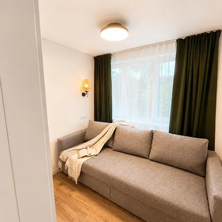 Charming House Apartment Druskininkai