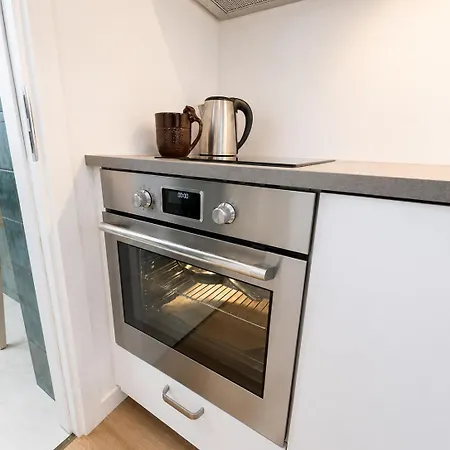 Charming House Apartment Druskininkai
